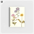 アートメモ帳-Saponaria, Convolvulus, and Helianthus
 - マリア ジビーラ メーリアン Memo.