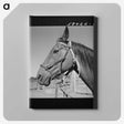 1-54_Marion-Post-Wolcott_canvas