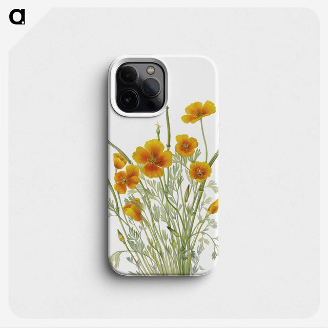 1-54_Mary-Vaux-Walcott_phone