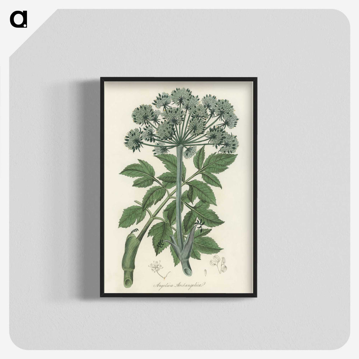 1-54_Medical-Botany_blk-crop