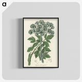 1-54_Medical-Botany_blk-crop
