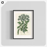 1-54_Medical-Botany_blk