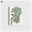 アートメモ帳-Angelica
 - 薬用植物学 Memo.