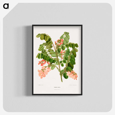 1-54_Nederlandsche-Flora-en-Pomona_blk-crop