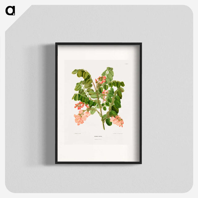 1-54_Nederlandsche-Flora-en-Pomona_blk