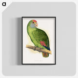 1-54_Parrots-in-Captivity_blk-crop
