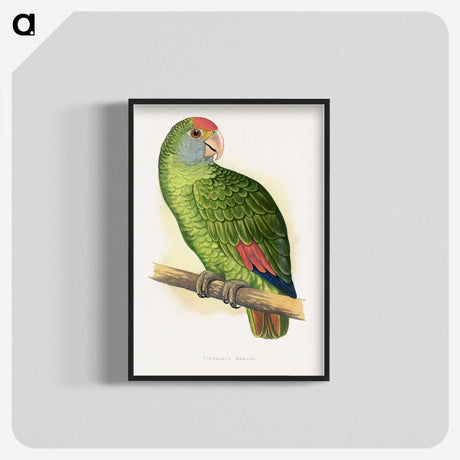 1-54_Parrots-in-Captivity_blk-crop
