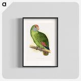 1-54_Parrots-in-Captivity_blk