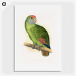 1-54_Parrots-in-Captivity_picture