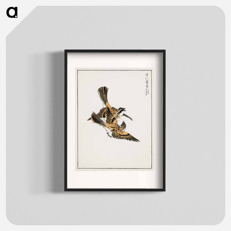 アートポスター-Yellow-throated Bunting Illustration
 - 鳥類図鑑 Poster.