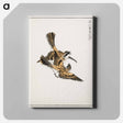 アートパネル-Yellow-throated Bunting Illustration
 - 鳥類図鑑 Canvas.