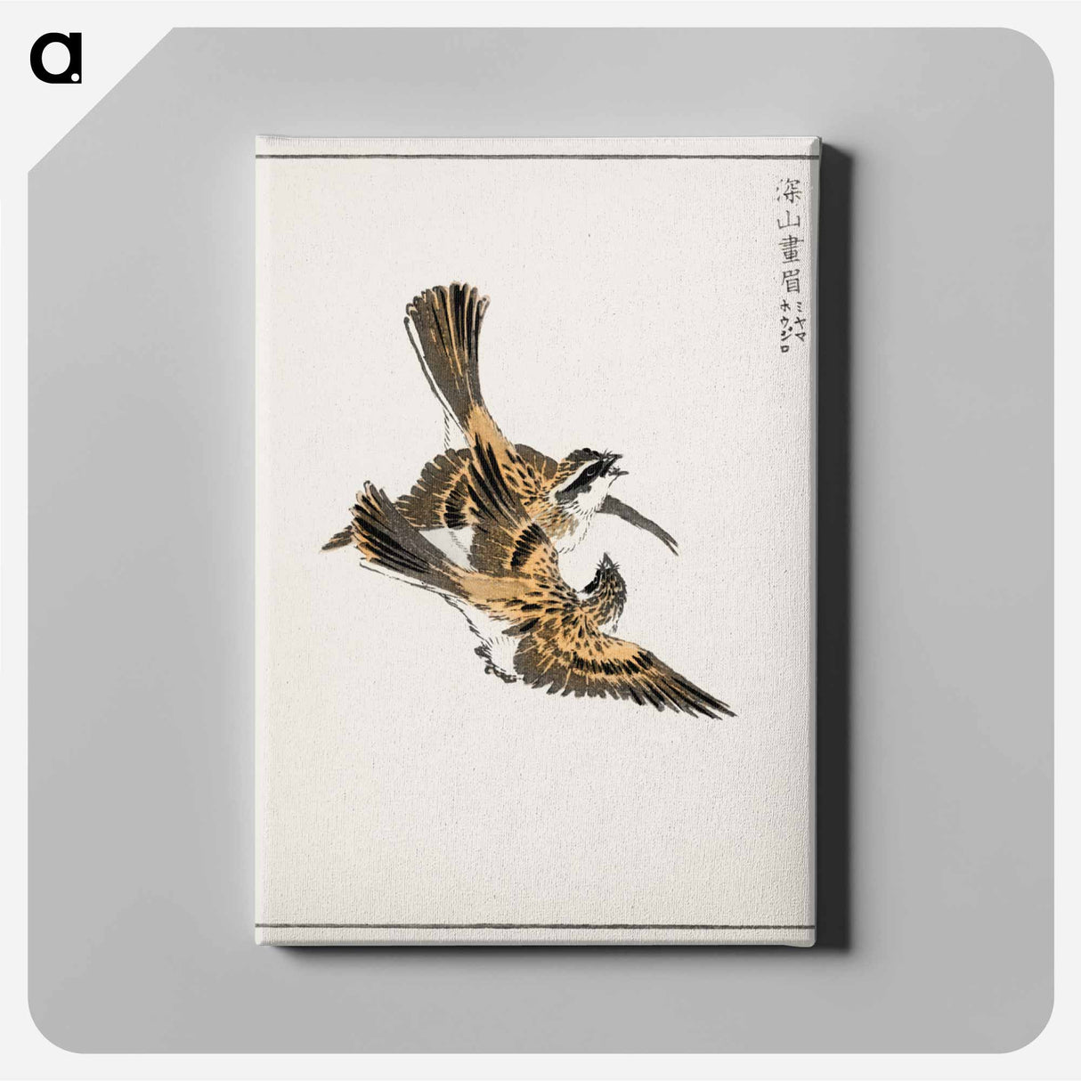 アートパネル-Yellow-throated Bunting Illustration
 - 鳥類図鑑 Canvas.