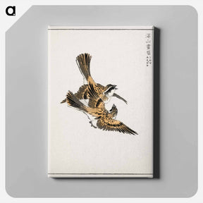 アートパネル-Yellow-throated Bunting Illustration
 - 鳥類図鑑 Canvas.