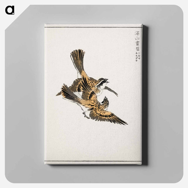 アートパネル-Yellow-throated Bunting Illustration
 - 鳥類図鑑 Canvas.