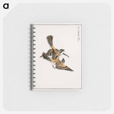 アートメモ帳-Yellow-throated Bunting Illustration
 - 鳥類図鑑 Memo.