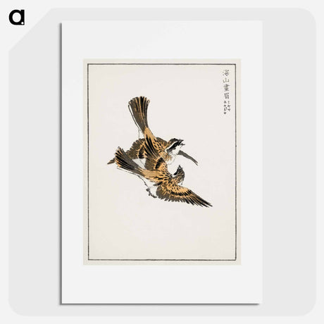アートポスター-Yellow-throated Bunting Illustration
 - 鳥類図鑑 Poster.