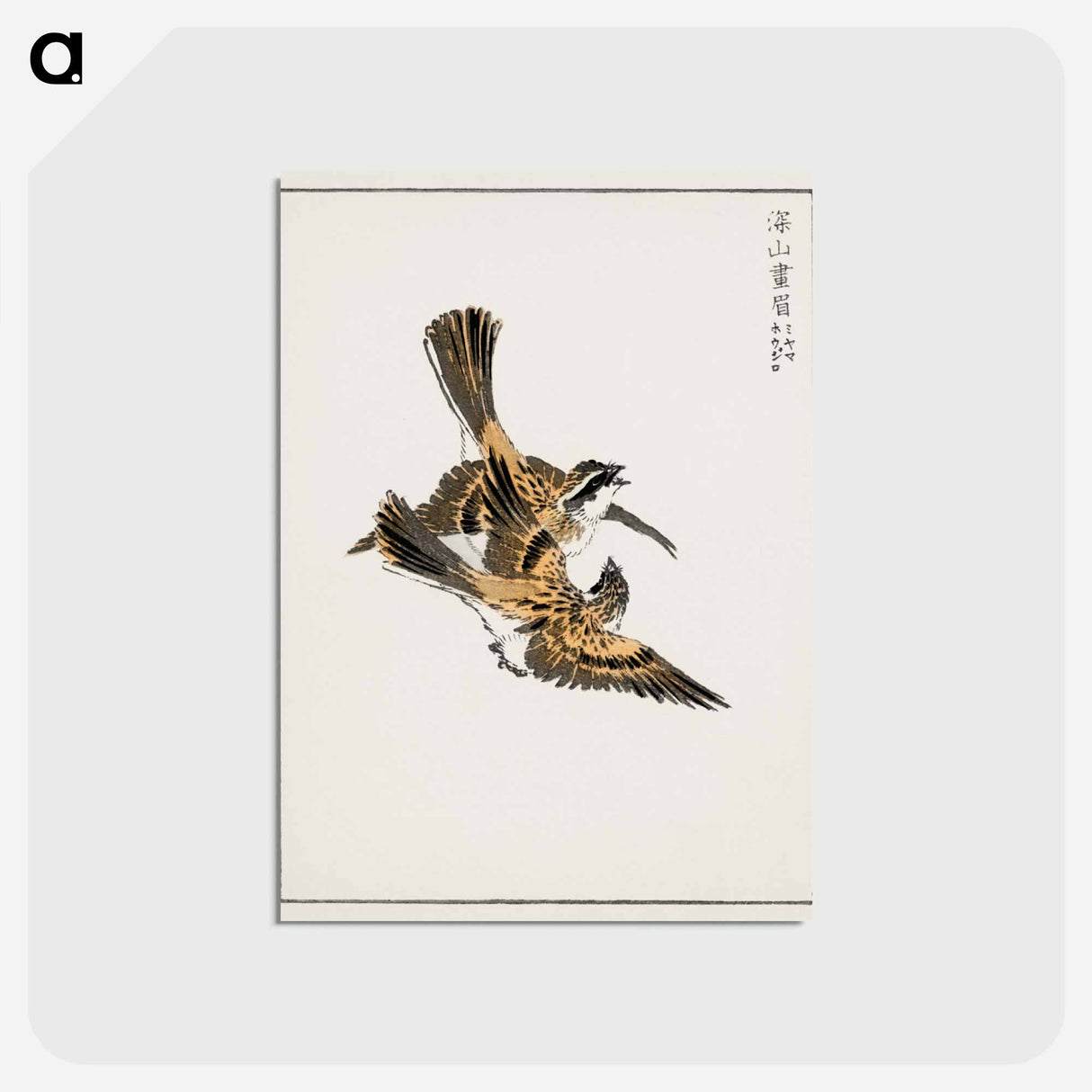 アートポストカード-Yellow-throated Bunting Illustration
 - 鳥類図鑑 Postcard.