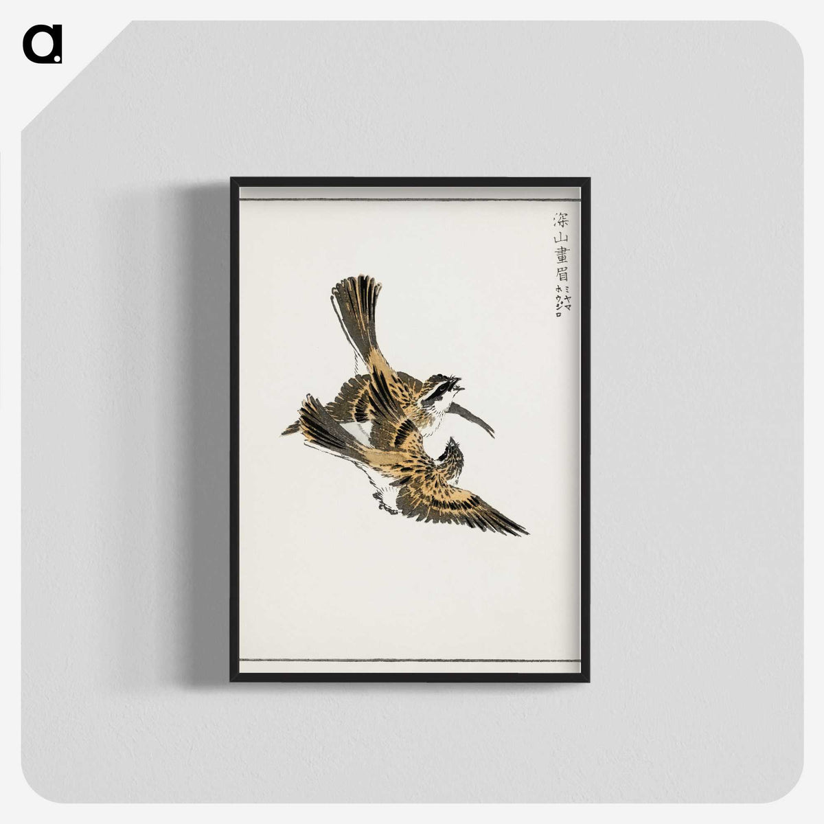 1-54_Pictorial-Monograph-of-Birds_blk-crop