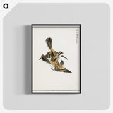1-54_Pictorial-Monograph-of-Birds_blk-crop