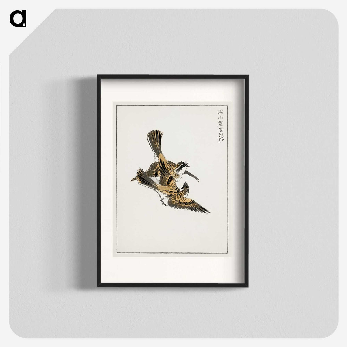 1-54_Pictorial-Monograph-of-Birds_blk