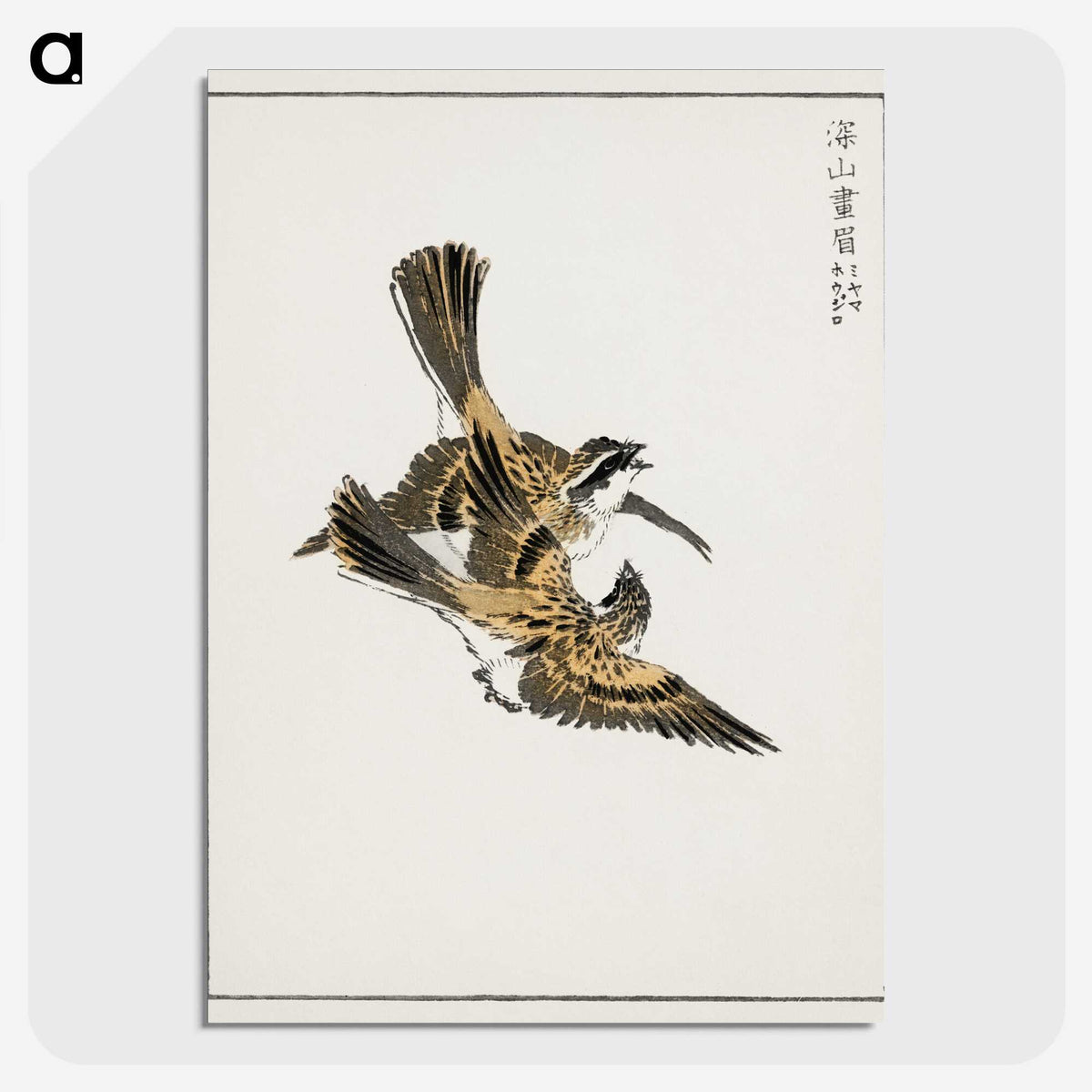 1-54_Pictorial-Monograph-of-Birds_picture-crop