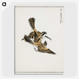 1-54_Pictorial-Monograph-of-Birds_picture-crop