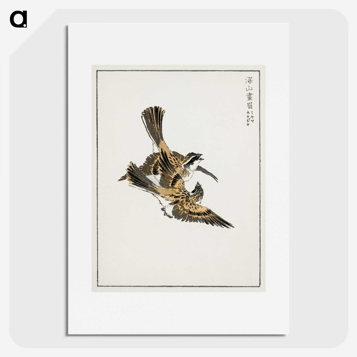 1-54_Pictorial-Monograph-of-Birds_picture