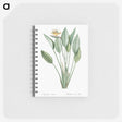 1-54_Pierre-Joseph-Redoute_memo