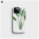 Bird of paradise illustration - Pierre Joseph Redouté Phone Case.