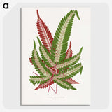 1-54_Plants-with-Colored-Foliage_picture-crop