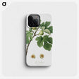 1-54_Pomona-Italiana_phone
