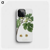 1-54_Pomona-Italiana_phone