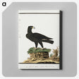 1-54_Robert-Jacob-Gordon_canvas