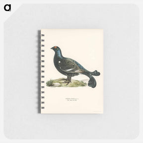 アートメモ帳-Black Grouse
 - スヴェンスカ フォグラル Memo.