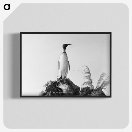 1-54_The-Burton-Brothers_blk-crop