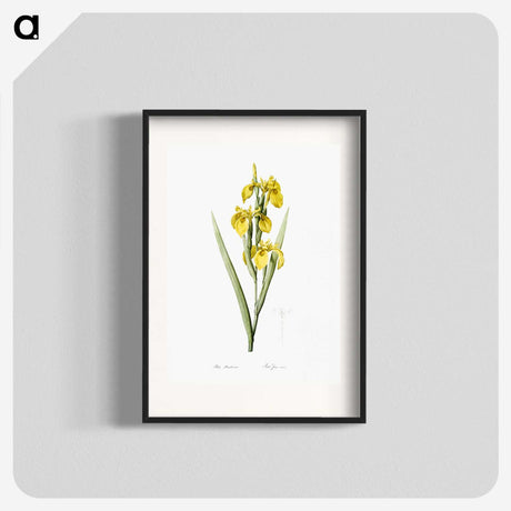 1-54_The-Lilies_blk