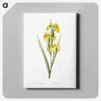 1-54_The-Lilies_canvas