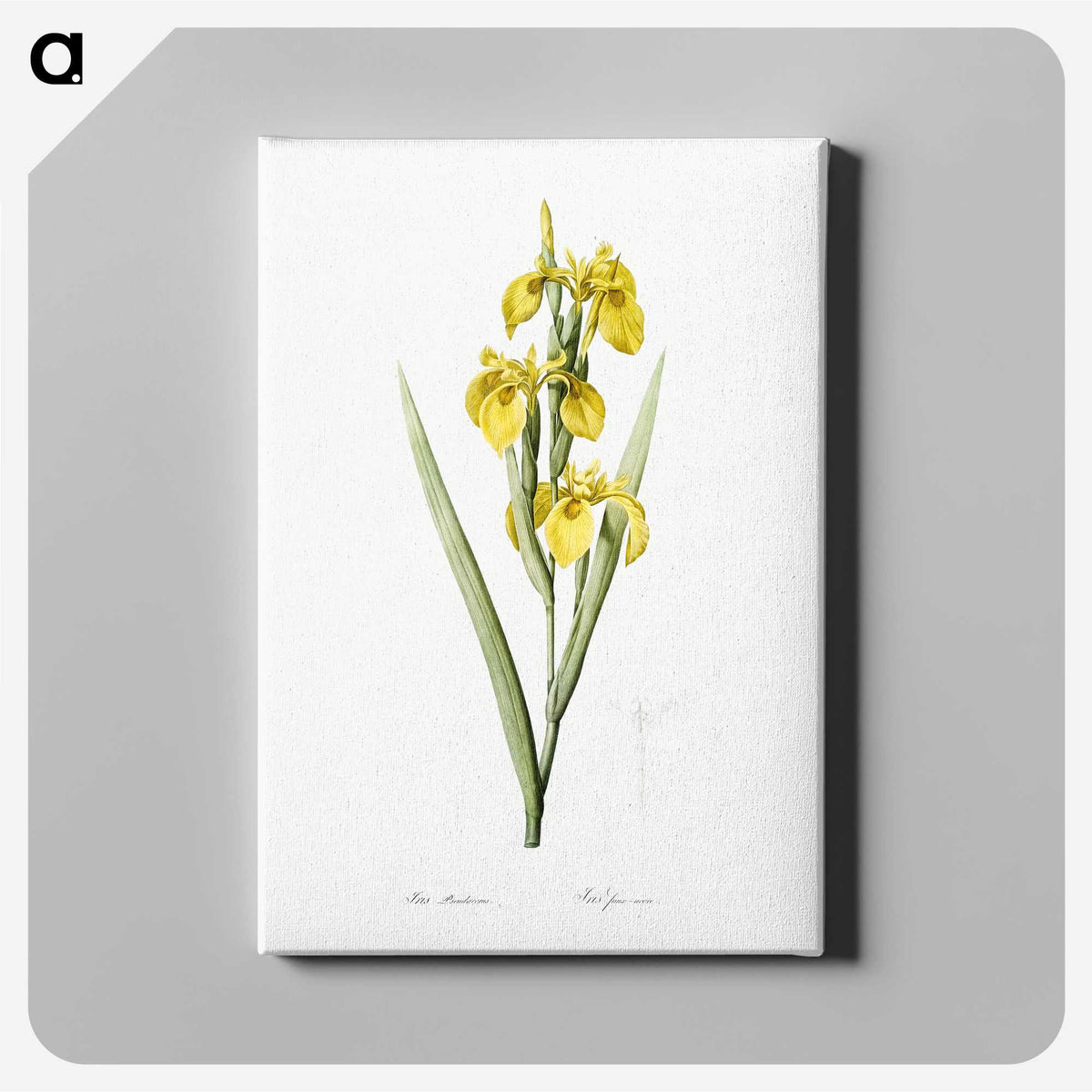 1-54_The-Lilies_canvas