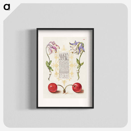 アートポスター-European Columbines and Sweet Cherry from Mira Calligraphiae Monumenta
 - 書道のお手本 Poster.
