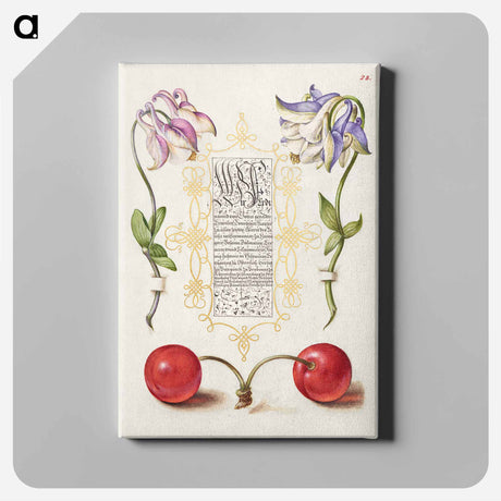 アートパネル-European Columbines and Sweet Cherry from Mira Calligraphiae Monumenta
 - 書道のお手本 Canvas.