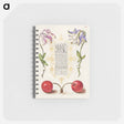 アートメモ帳-European Columbines and Sweet Cherry from Mira Calligraphiae Monumenta
 - 書道のお手本 Memo.