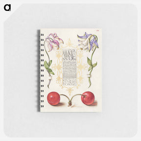 アートメモ帳-European Columbines and Sweet Cherry from Mira Calligraphiae Monumenta
 - 書道のお手本 Memo.