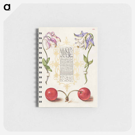 アートメモ帳-European Columbines and Sweet Cherry from Mira Calligraphiae Monumenta
 - 書道のお手本 Memo.