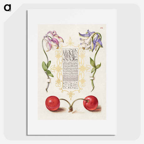 アートポスター-European Columbines and Sweet Cherry from Mira Calligraphiae Monumenta
 - 書道のお手本 Poster.
