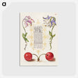 アートポストカード-European Columbines and Sweet Cherry from Mira Calligraphiae Monumenta
 - 書道のお手本 Postcard.