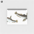 1-54_The-Natural-History-of-British-Fishes_memo