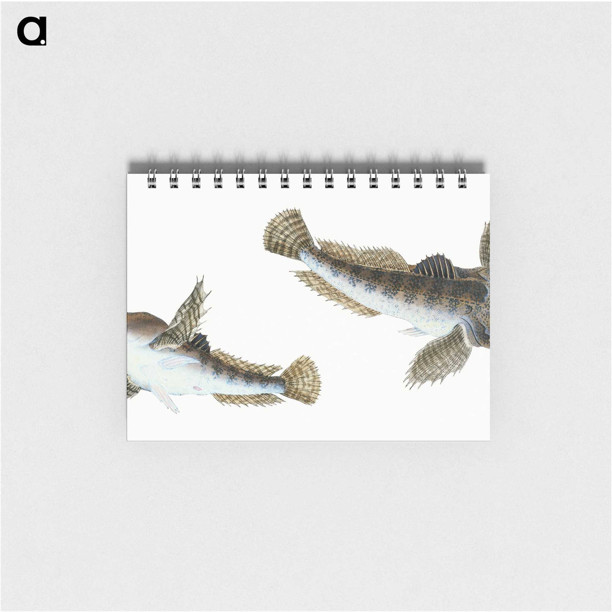 1-54_The-Natural-History-of-British-Fishes_memo