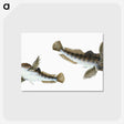 1-54_The-Natural-History-of-British-Fishes_postcard