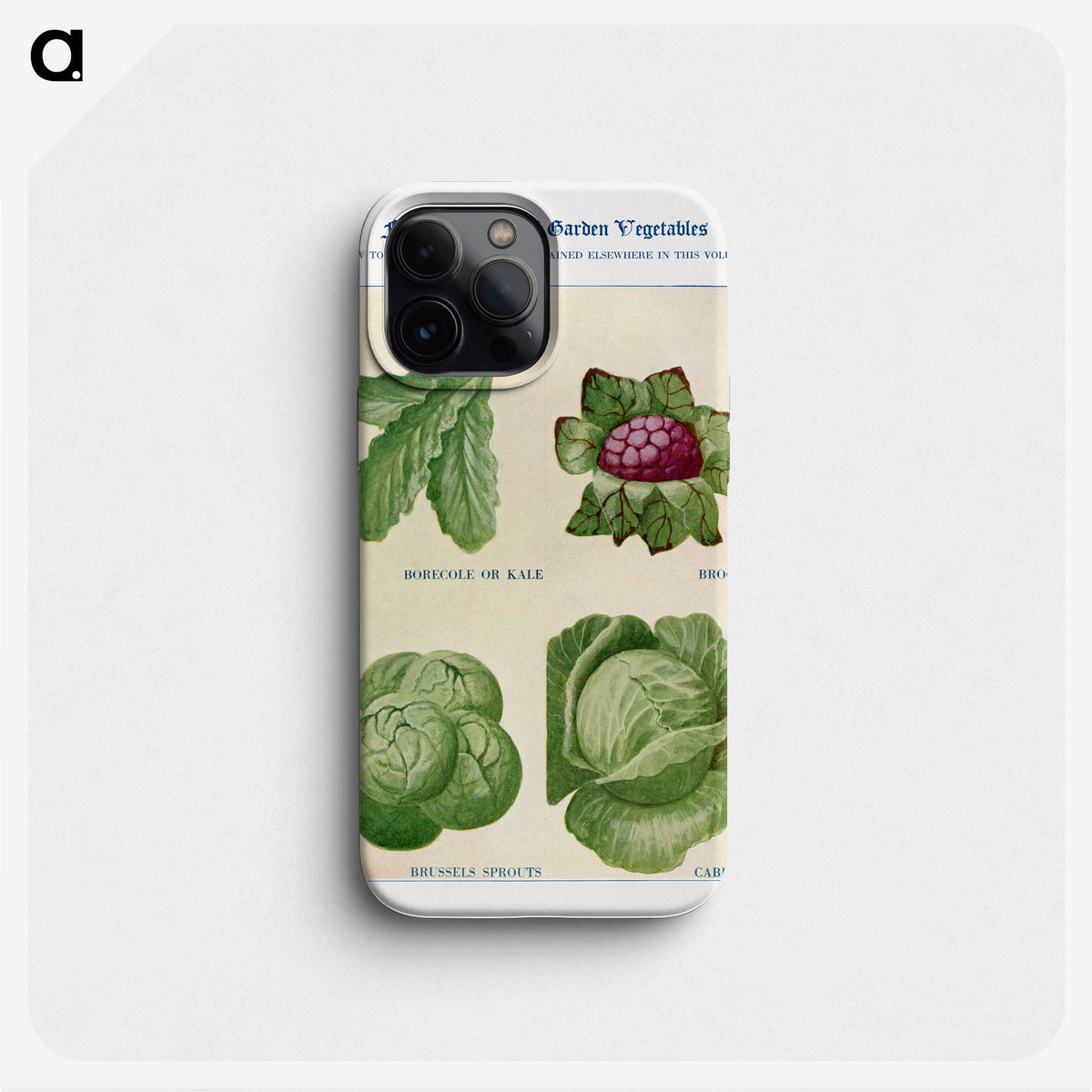 1-54_The-Open-Door-to-Independence_phone