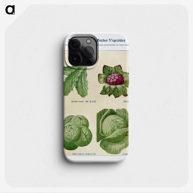 1-54_The-Open-Door-to-Independence_phone
